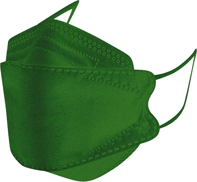 Adult Mask FFP2 NR Famex Flat Fold Green Without Valve Disposable 10pcs